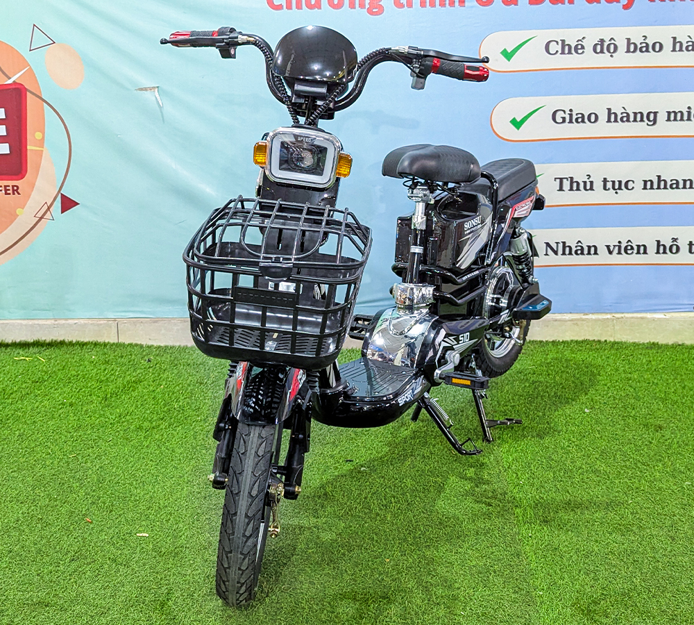 Xe Điện 2 Sườn-2