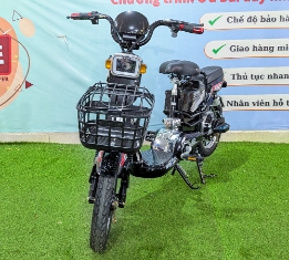 Xe Điện 2 Sườn-2