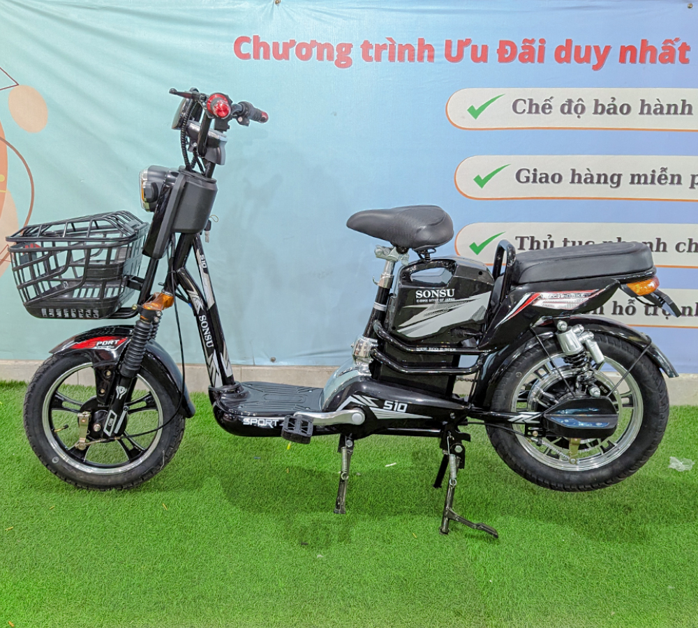 Xe Điện 2 Sườn-2