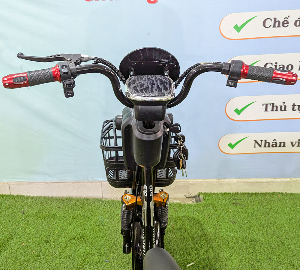 Xe Điện 2 Sườn-2