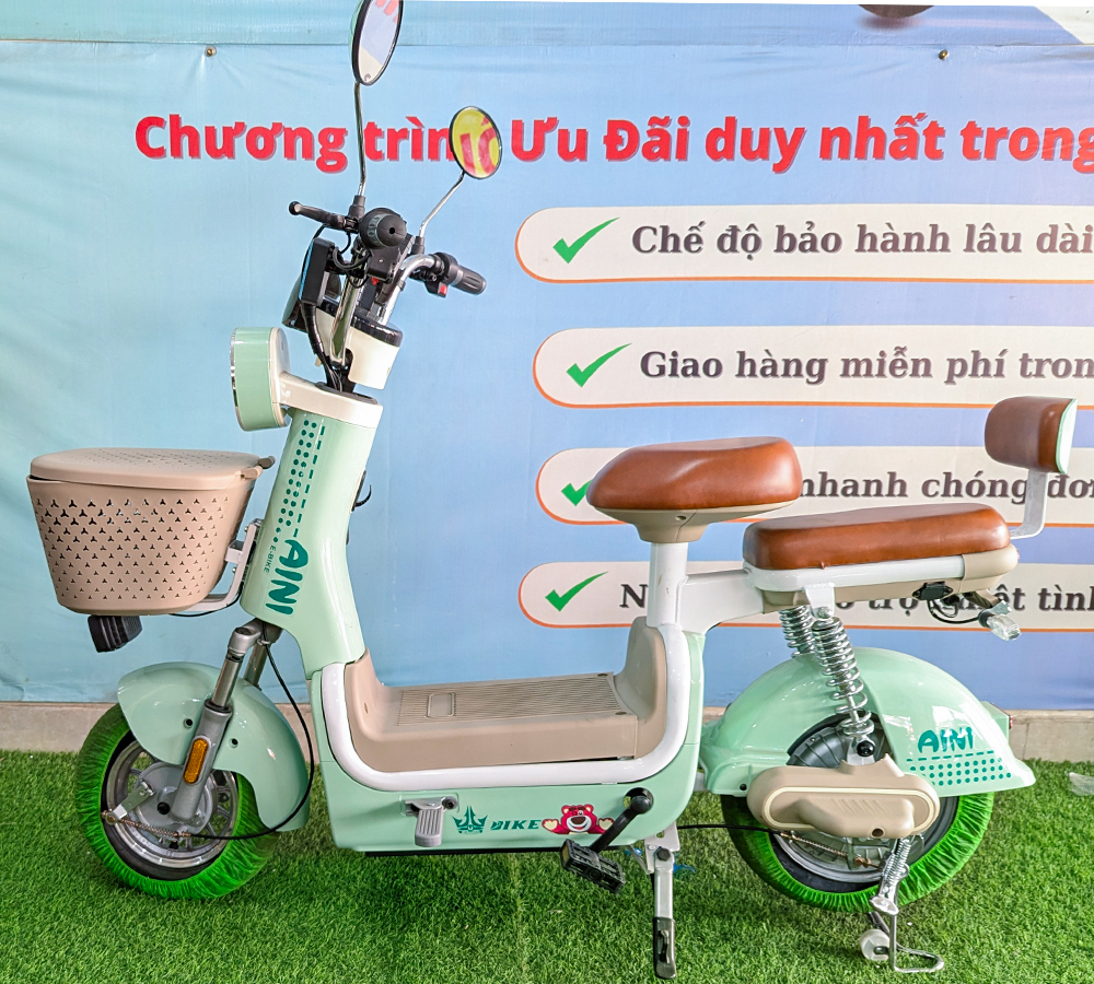 Xe Điện Aini-5