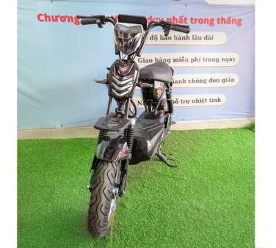 Xe Điện M5-27