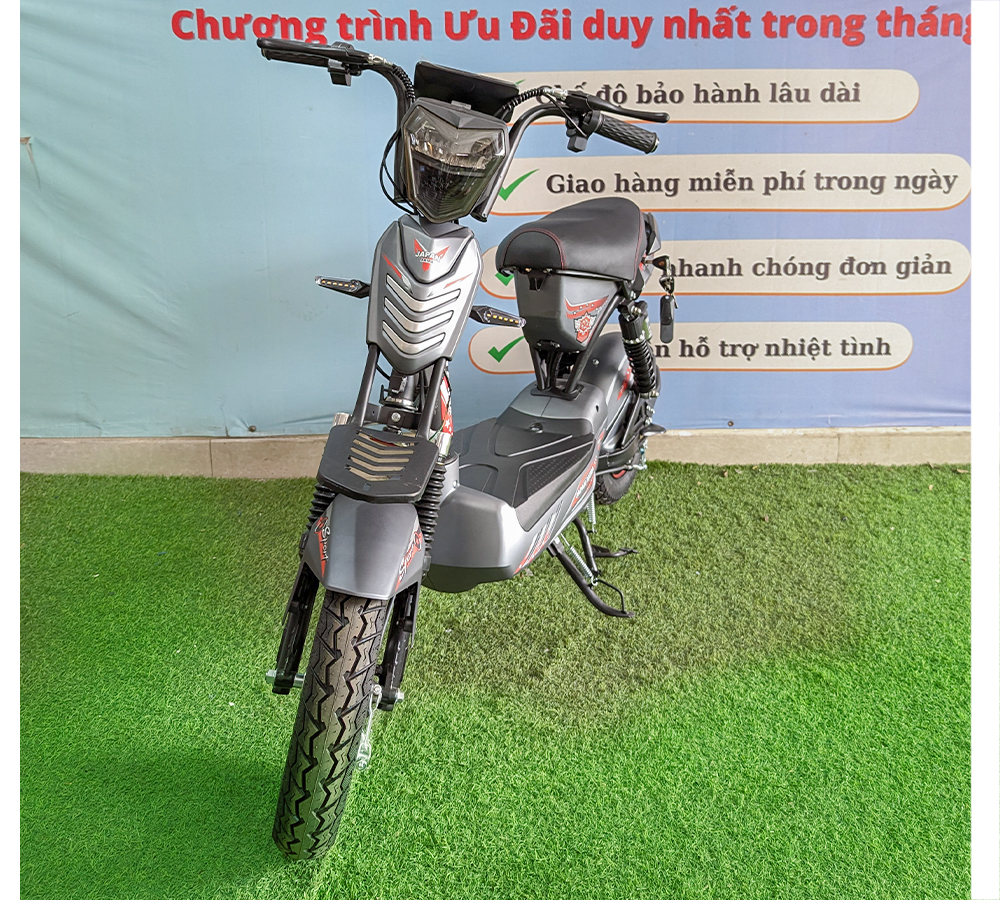 Xe Điện M5-25