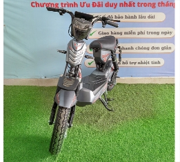 Xe Điện M5-25