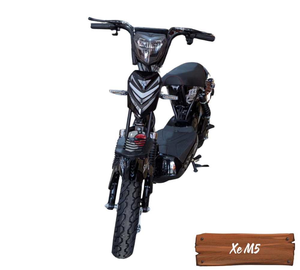 Xe Điện M5-26 