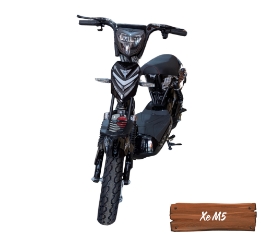 Xe Điện M5-26 