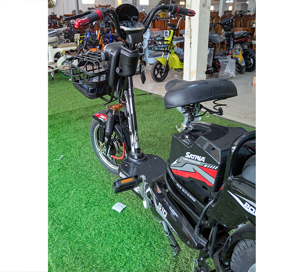 Xe Điện 2 Sườn-2
