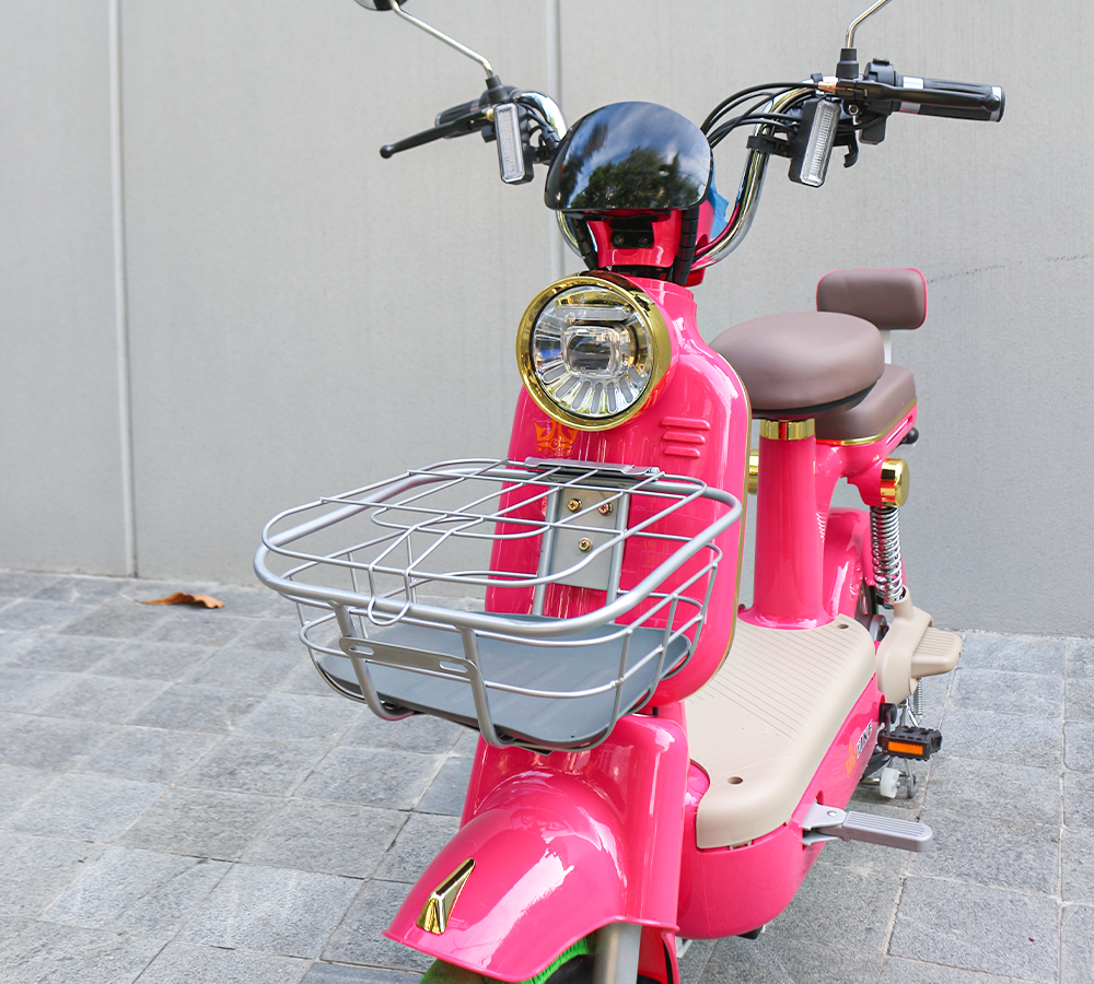Xe Điện Moka-3