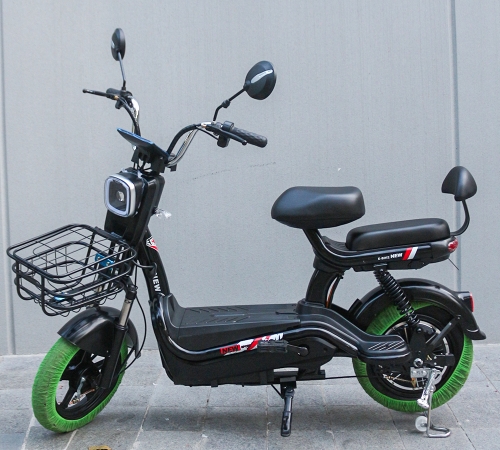 Xe Điện Newbeer-5