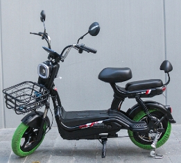 Xe Điện Newbeer-5