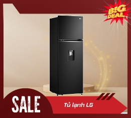 Tủ Lạnh LG Inverter 264L GV-D262BL