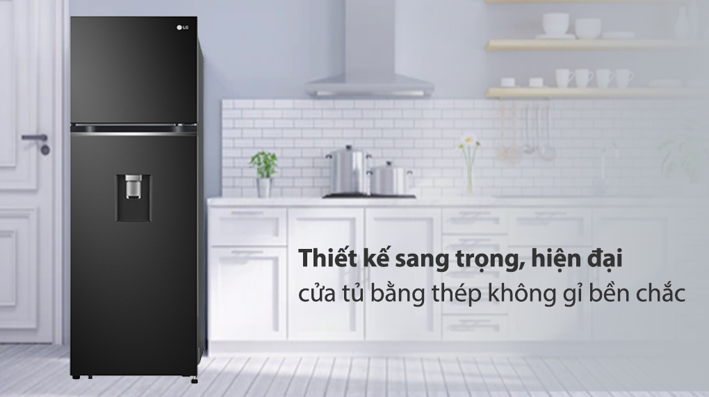 Tủ Lạnh LG Inverter 264L GV-D262BL
