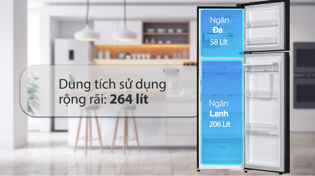 Tủ Lạnh LG Inverter 264L GV-D262BL
