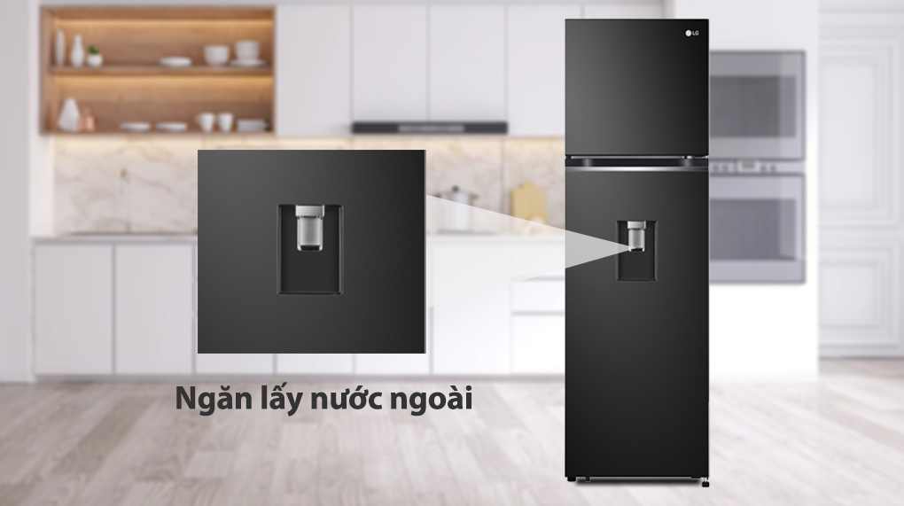 Tủ Lạnh LG Inverter 264L GV-D262BL