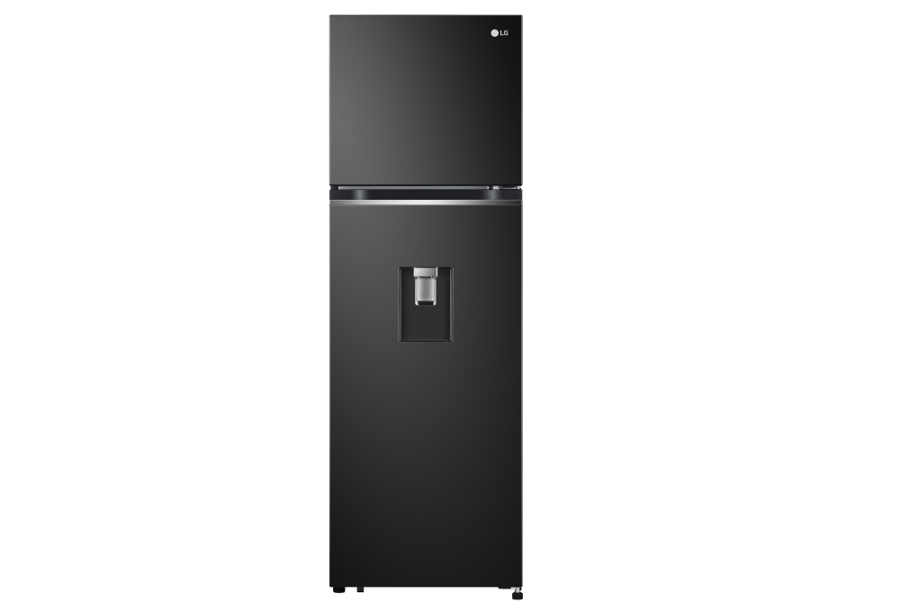 Tủ Lạnh LG Inverter 264L GV-D262BL