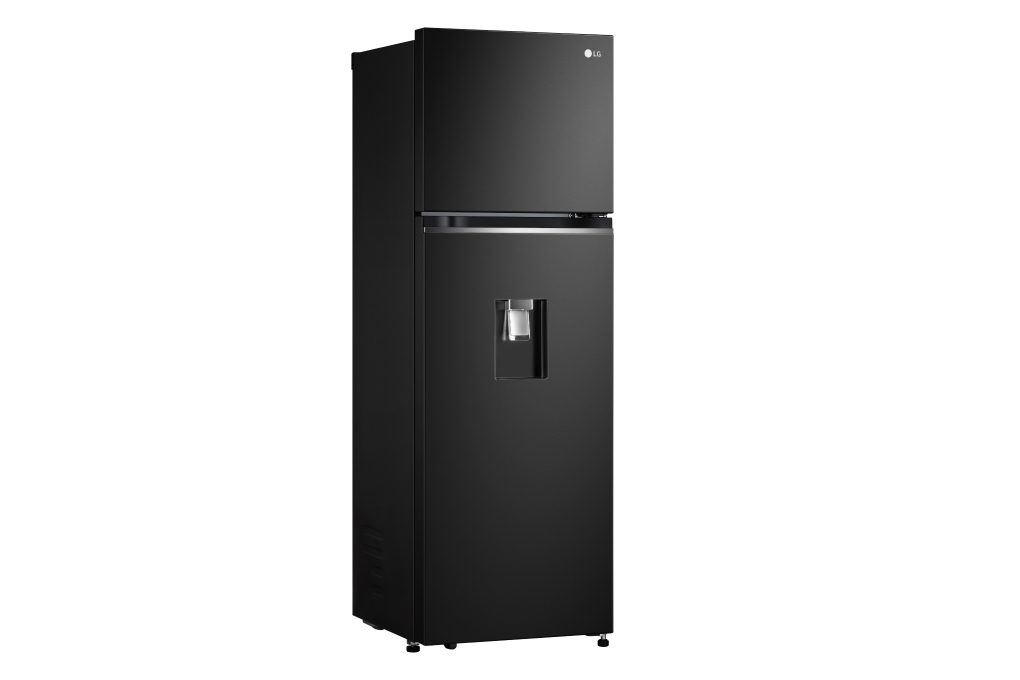 Tủ Lạnh LG Inverter 264L GV-D262BL
