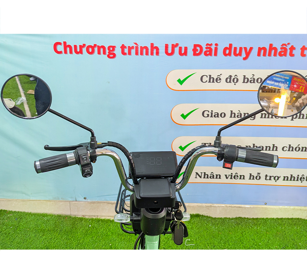 Xe Điện Newbeer-12