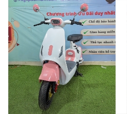 Xe Điện V1-5
