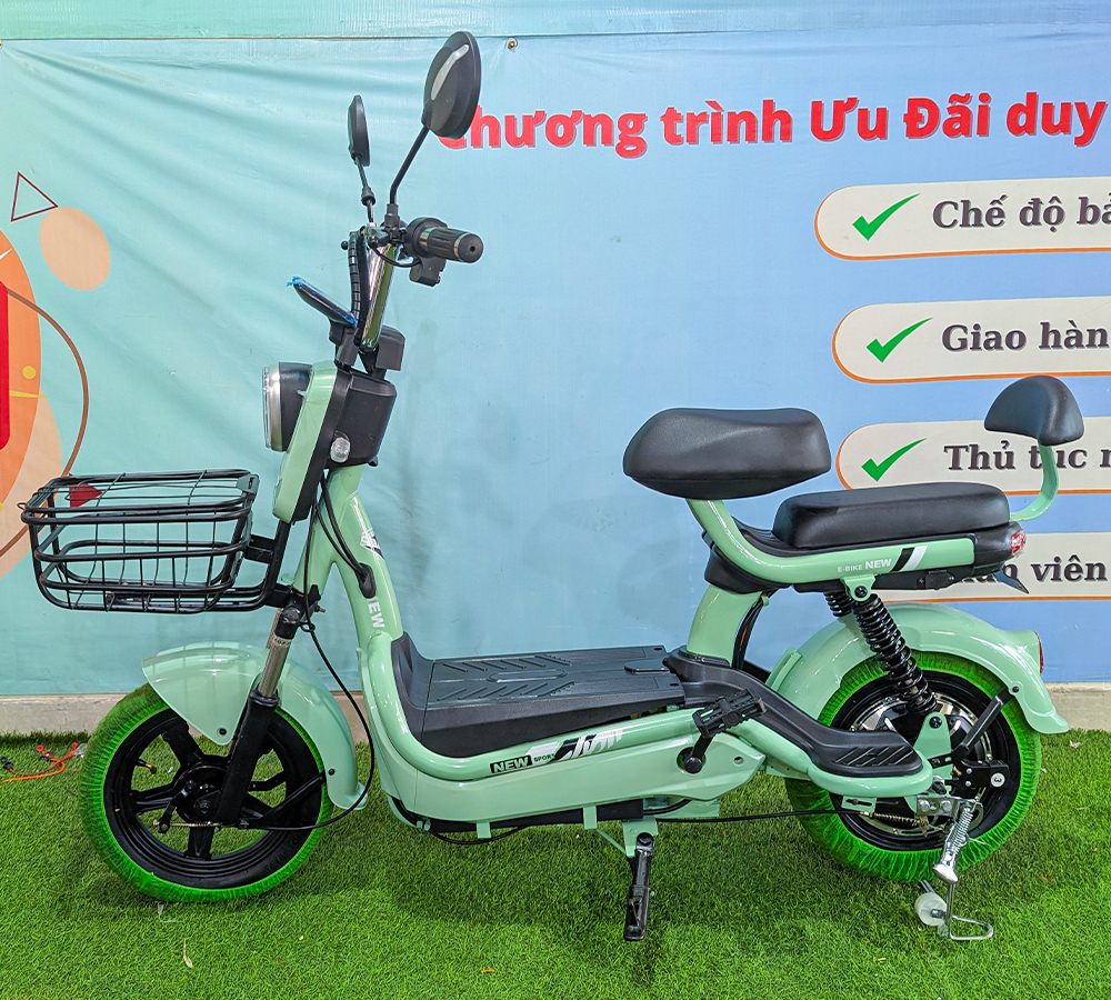 Xe Điện Newbeer-12