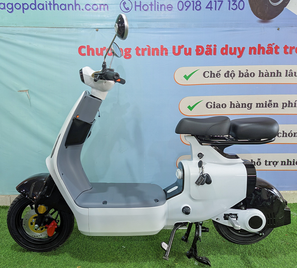 Xe Điện V1-6