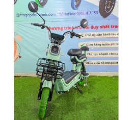 Xe Điện Newbeer-12