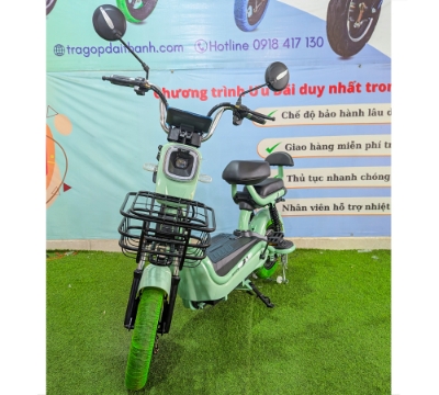Xe Điện Newbeer-12