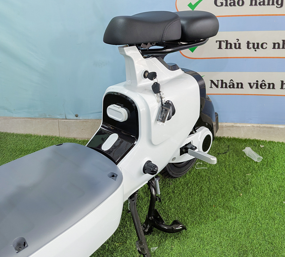 Xe Điện V1-6