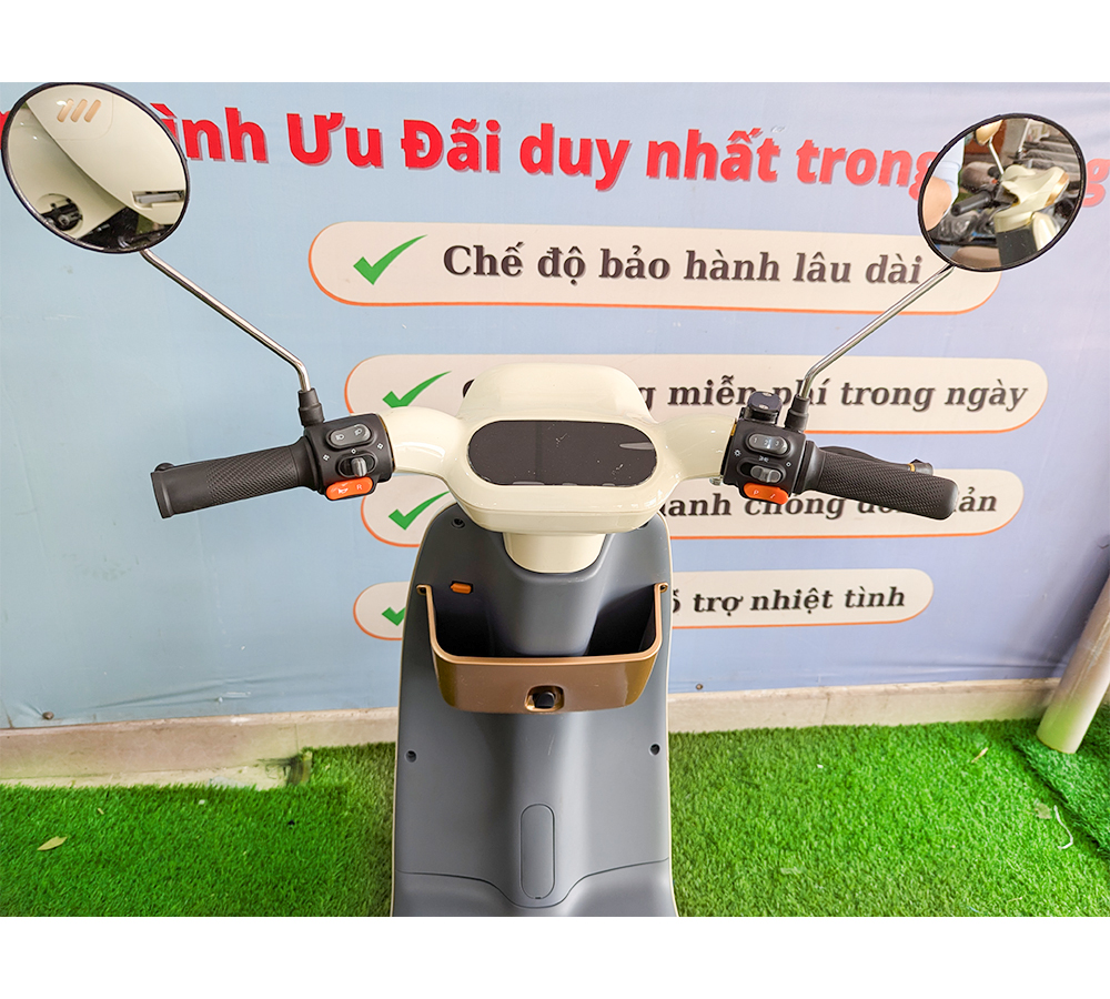 Xe Điện D1