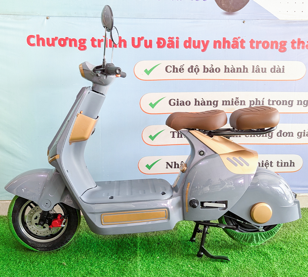 Xe Điện D1-1