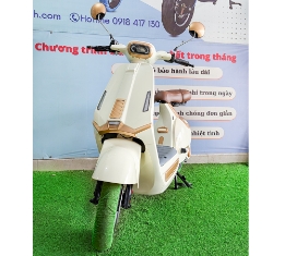 Xe Điện D1