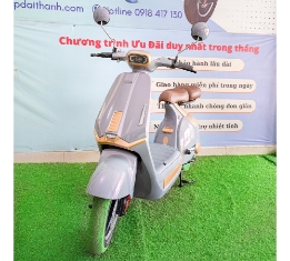 Xe Điện D1-1