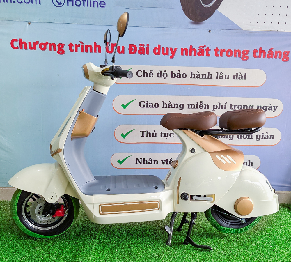Xe Điện D1