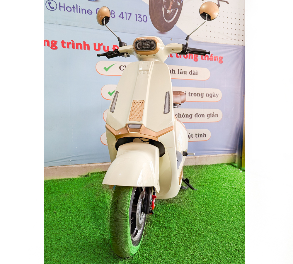 Xe Điện D1
