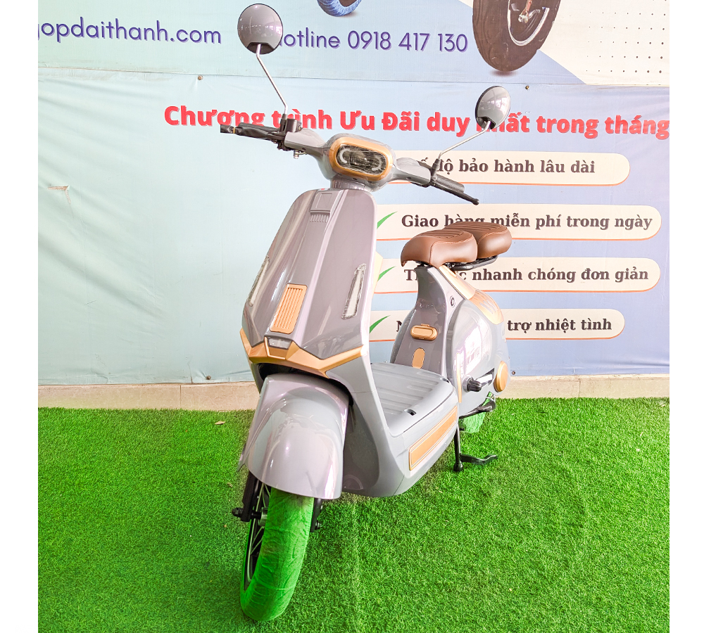 Xe Điện D1-1