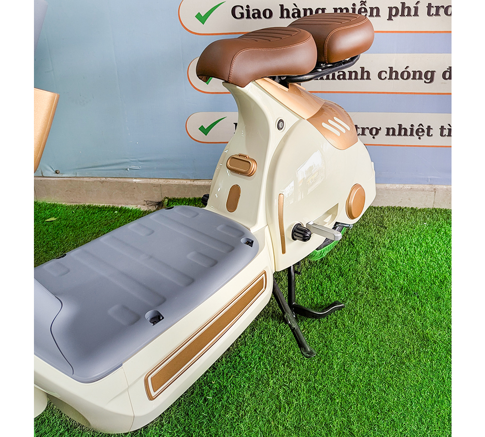 Xe Điện D1