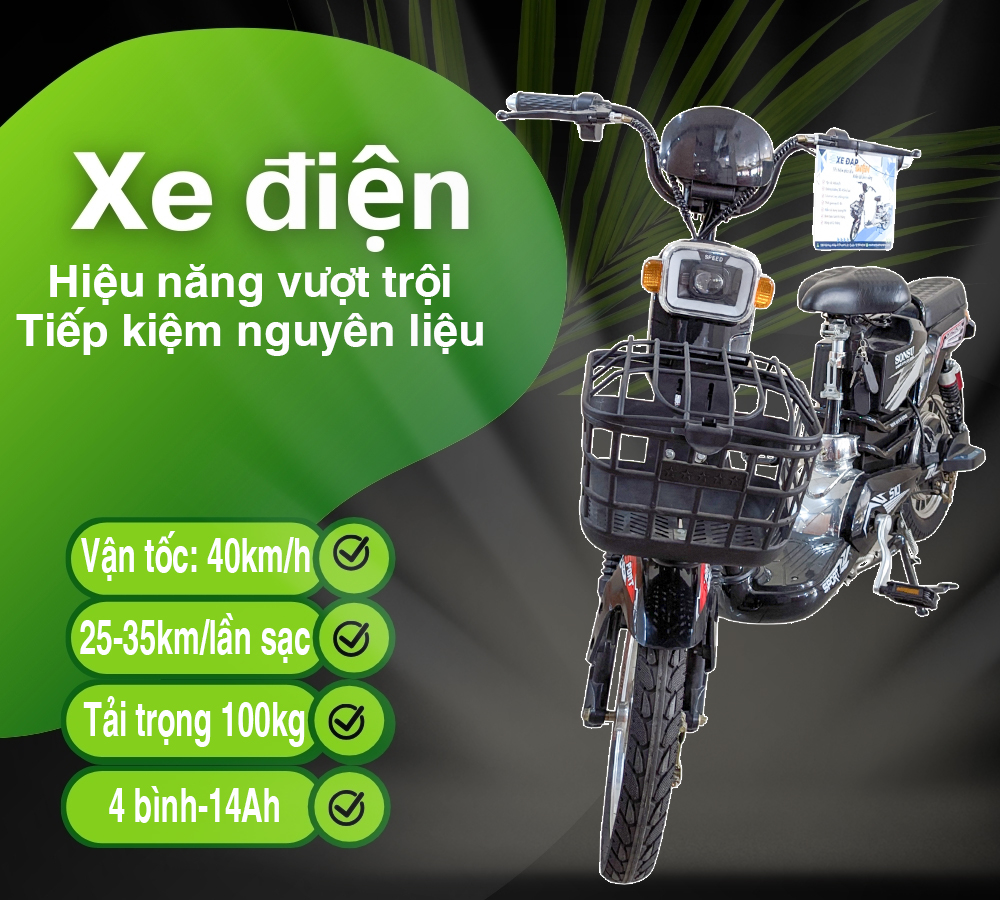 Xe Điện 2 Sườn-6