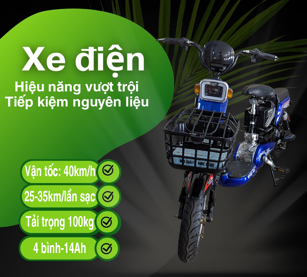 Xe Điện 2 Sườn-7
