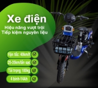 Xe Điện 2 Sườn-7