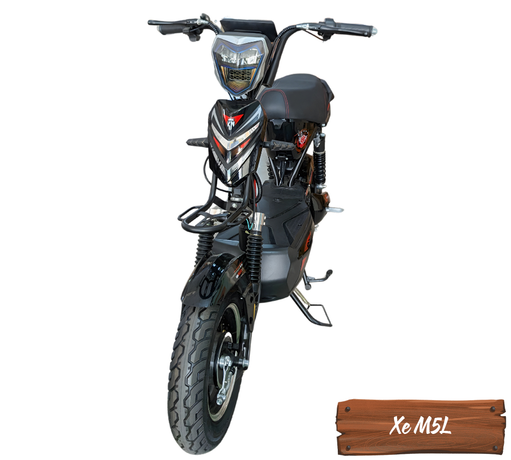 Xe Điện M5L-3