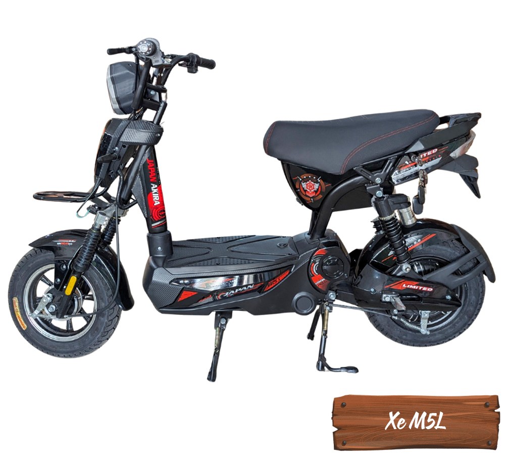Xe Điện M5L-3