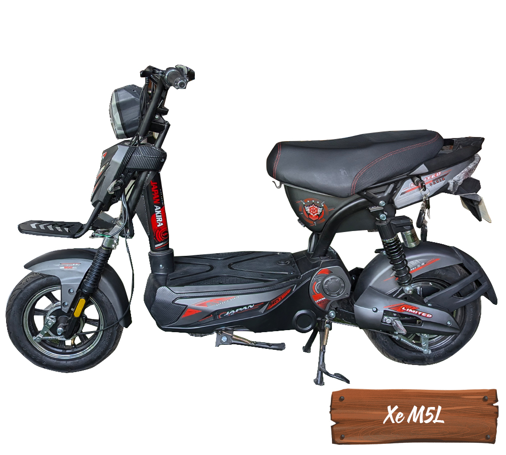 Xe Điện M5L-7