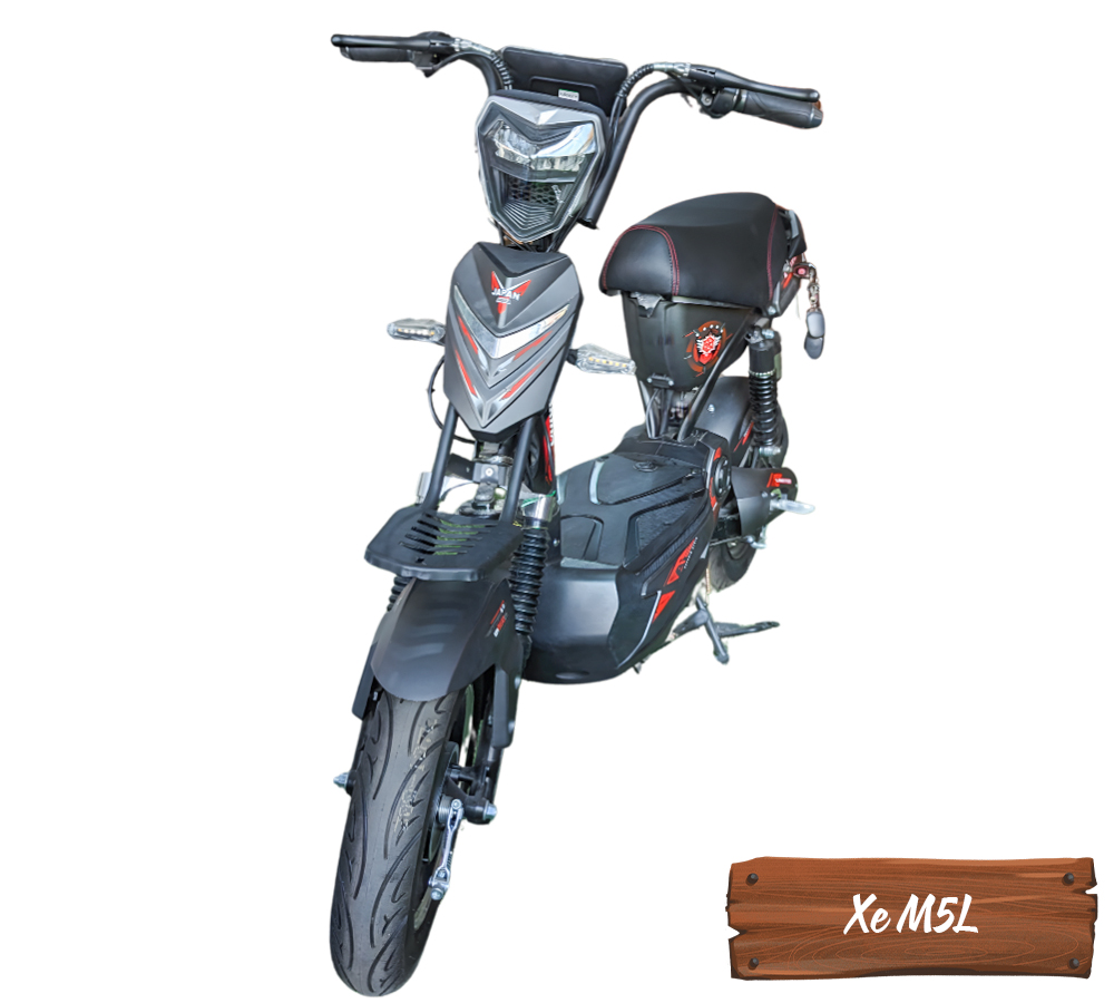 Xe Điện M5L-7