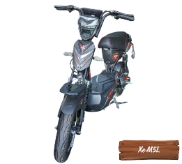 Xe Điện M5L-7